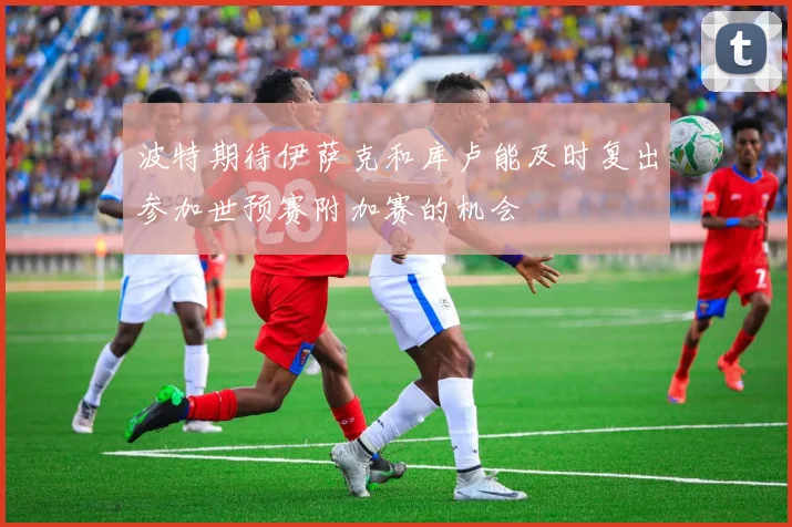 波特期待伊萨克和库卢能及时复出参加世预赛附加赛的机会